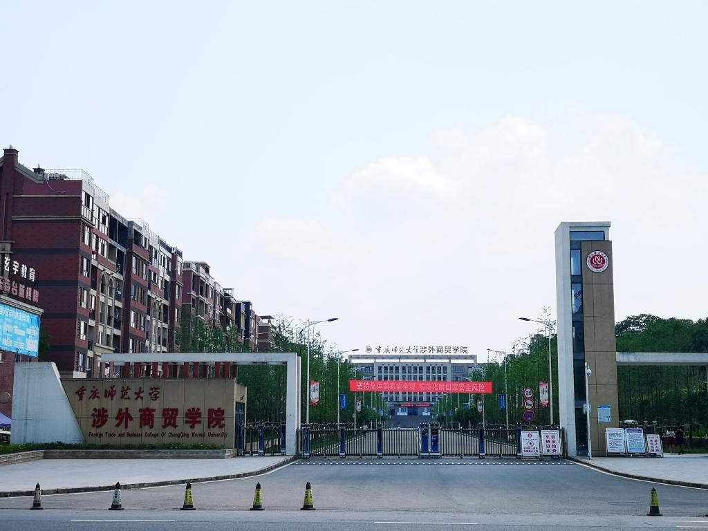 最新本科專業(yè)探秘，小巷中的隱藏寶藏之門
