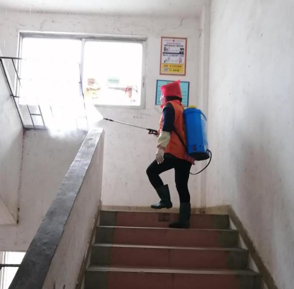 蓬江區(qū)最新高科技住宅，重塑未來生活體驗(yàn)的首選之地