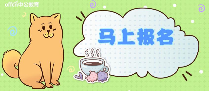 通安最新招聘，啟程探索自然美景，尋找內心的寧靜之旅